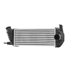 RIDEX Intercooler Core Dimensions: 385x143x64 468I0142 Turbo Intercooler,Intercooler, charger RENAULT,KANGOO (KC0/1_),KANGOO / GRAND KANGOO (KW0/1_)