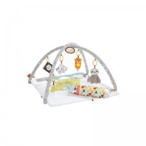 Fisher Price Perfect Sense Deluxe Gym