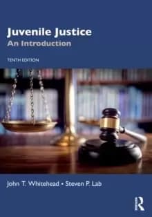 Juvenile Justice : An Introduction