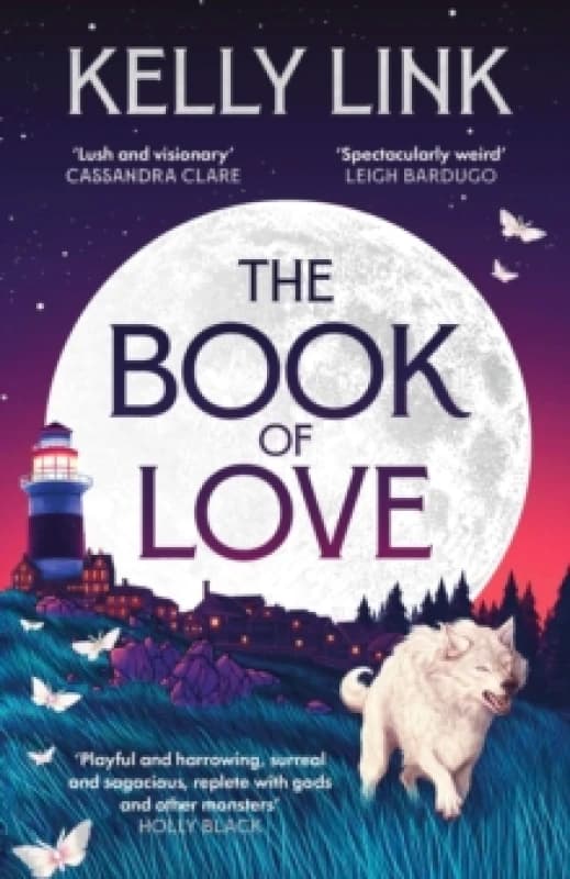 The Book of Love Paperback / softback