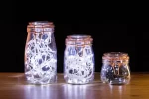 Copper Effect Wire Jar 1L