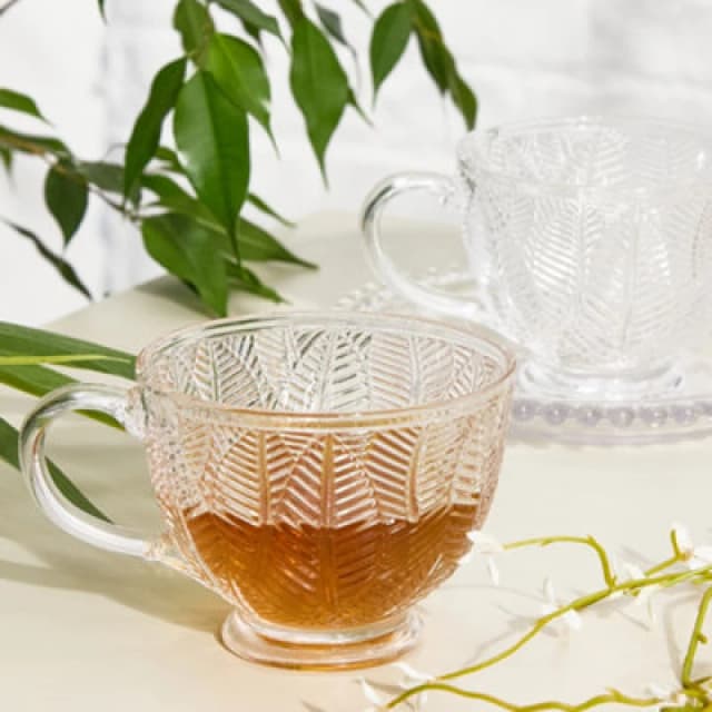Dibor Set Of 2 Vintage Style Embossed Botanical Design Coffee Mug Clear Tea Cups 400Ml