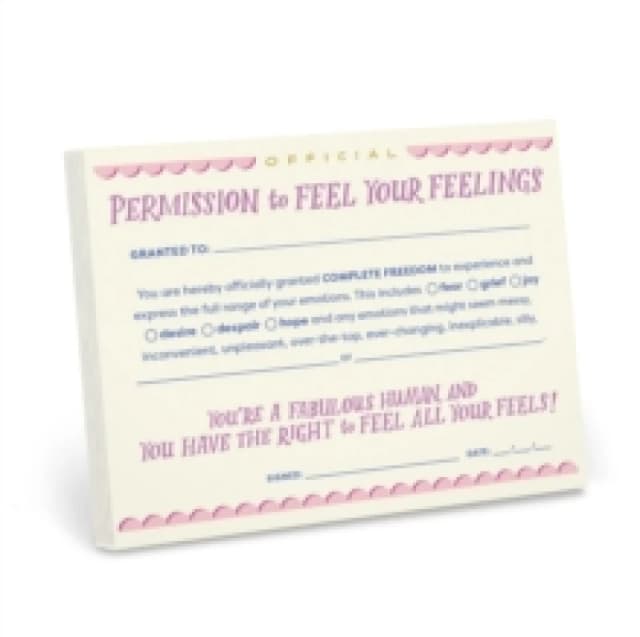 Em & Friends Permission to Feel Your Feelings Notepad Other printed item