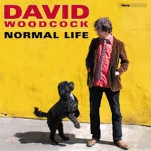 David Woodcock - Normal Life Vinyl
