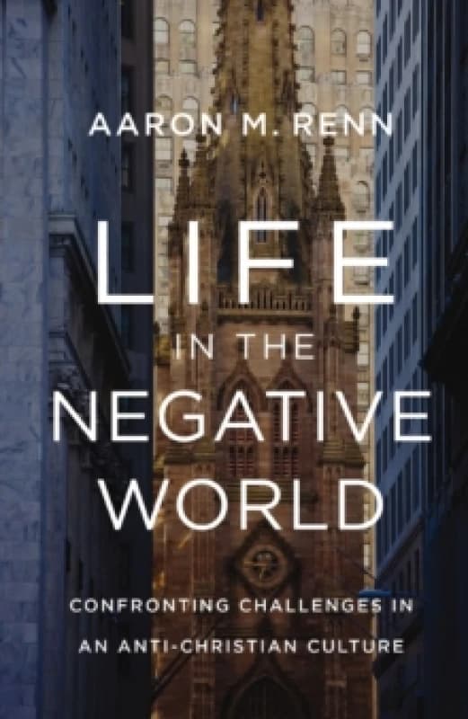 Life in the Negative World. Hardback. By Aaron M Renn Books