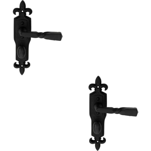 Loops 2x PAIR Forged Twisted Ornate on Bathroom Backplate 226 x 50mm Black Antique Black