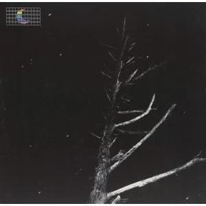 Peter Broderick - (Colours of the Night) Satellite 12" Vinyl