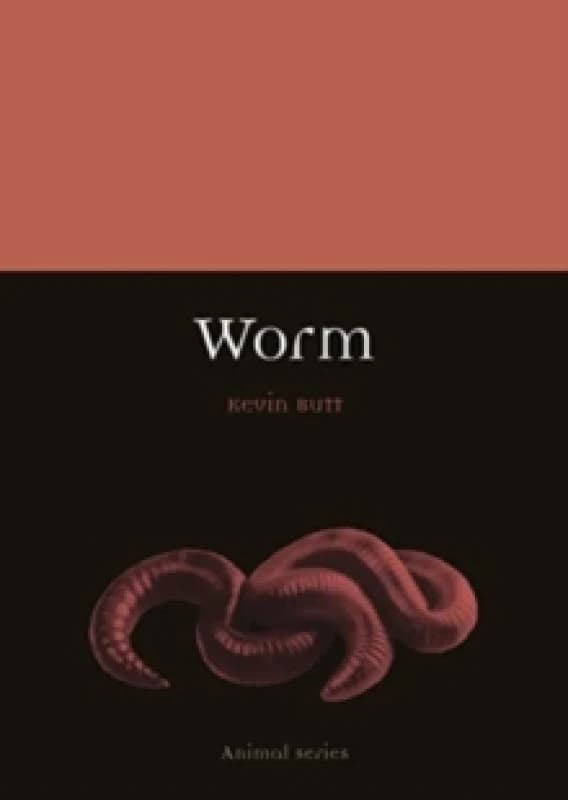 Worm Paperback / softback