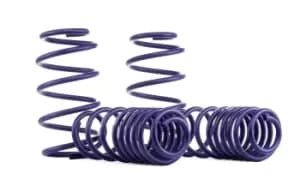 H&R Suspension Kit, coil springs Performance Lowering Springs 29013-1 VW,SCIROCCO (137, 138)
