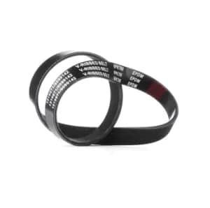 RIDEX V-ribbed belt VW,SKODA,SEAT 305P0240 038903137M,038903137M,038903137M 9008091198,9936620780,9936680780,99366A0780,038903137M