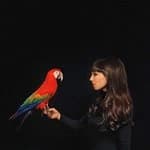 Claude Fontaine - Claude Fontaine