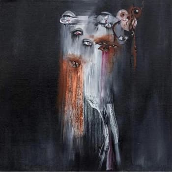 Insect Ark - The Vanishing CD