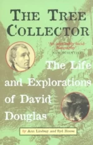 The tree collector by Ann Lindsay