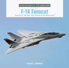 F14 Tomcat: Grummans aTop Guna from Vietnam to the Persian Gulf