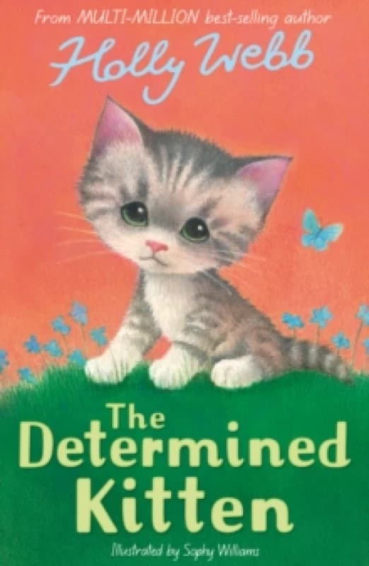 The Determined Kitten Paperback / softback