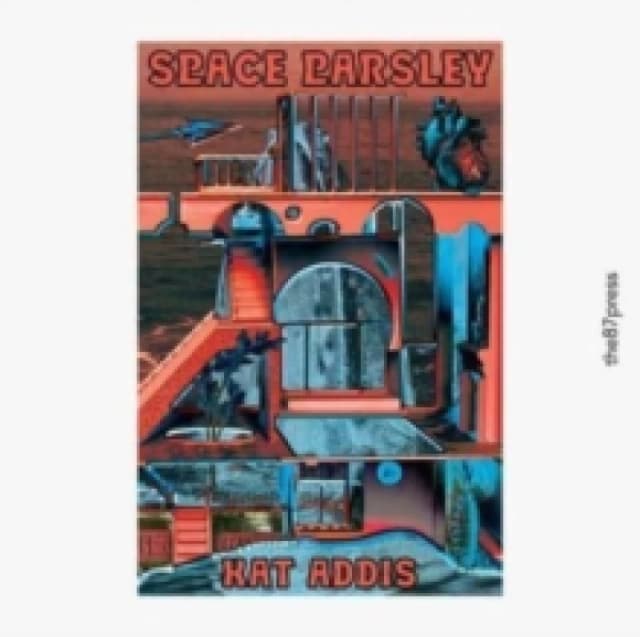 Space Parsley Paperback / softback