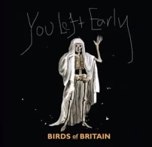 You Left Early by Birds of Britain Vinyl Album