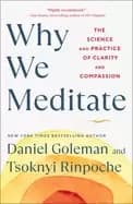 why we meditate the science and practice of clarity and compassion