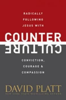 Counter Culture Itpe by David Platt Paperback