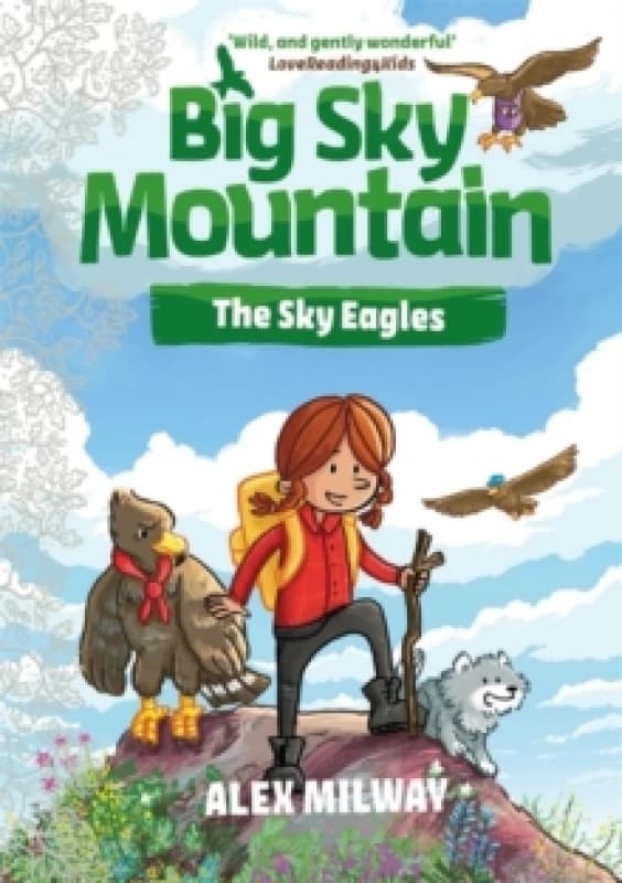 Big Sky Mountain: The Sky Eagles Paperback / softback