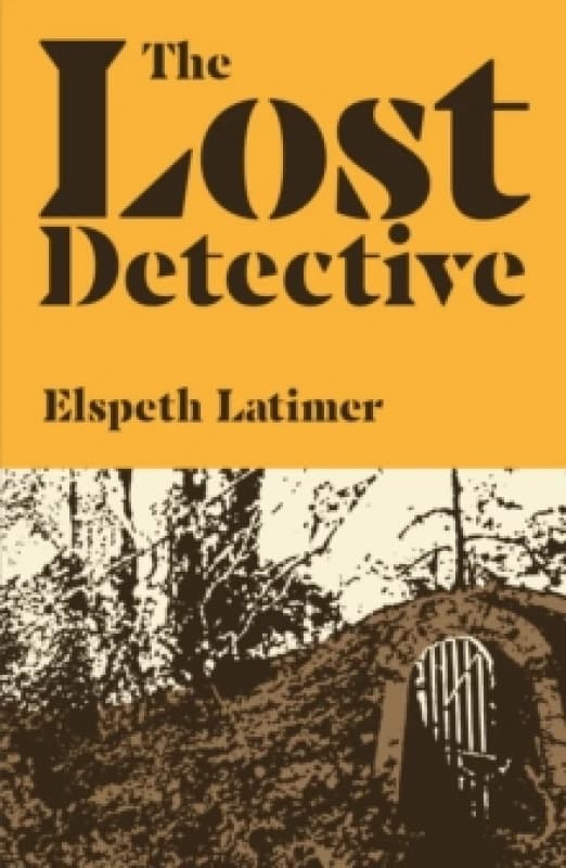 The Lost Detective Paperback / softback