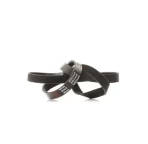 RIDEX V-ribbed belt VW,AUDI,BMW 305P0073 06D903137F,GMB61553,11281427250 Serpentine belt,Auxiliary belt,Poly V-belt,Ribbed belt,Multi V-belt,Poly belt