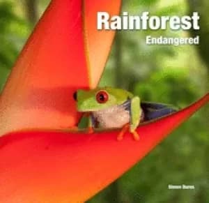 rainforest endangered