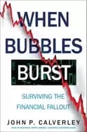 when bubbles burst surviving the financial fallout