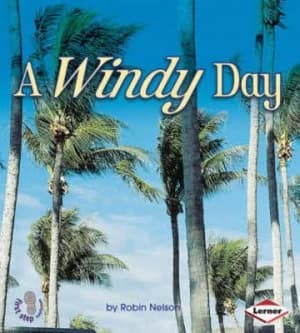 A Windy Day Paperback