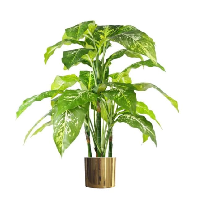 Leaf 100cm Large Fox's Aglaonema Realistic Tree Artificial Plant with Gold Metal Planter in Green Green Unisex