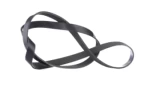 RIDEX V-ribbed belt VW,AUDI,RENAULT 305P0123 55193360,03L903137A,5750EW Serpentine belt,Auxiliary belt,Poly V-belt,Ribbed belt,Multi V-belt,Poly belt