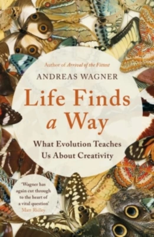 Life Finds a Way : What Evolution Teaches Us About Creativity Paperback / softback