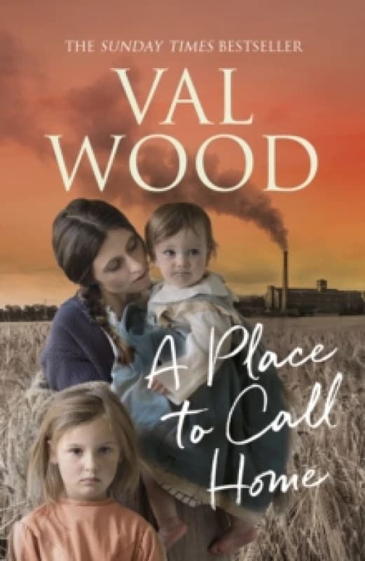 A Place to Call Home. Paperback. By Valerie Wood Books