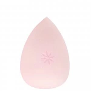 brushworks Complexion Sponge