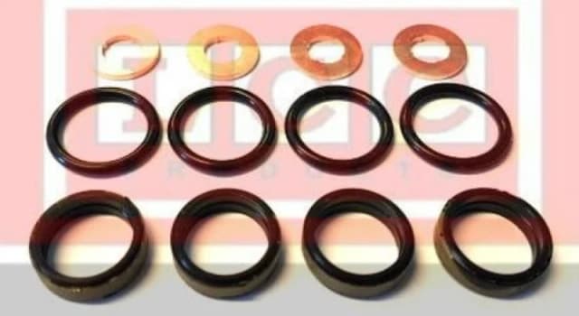 LCC TR1331 Gaskets Seal Kit,injector nozzle (3894)