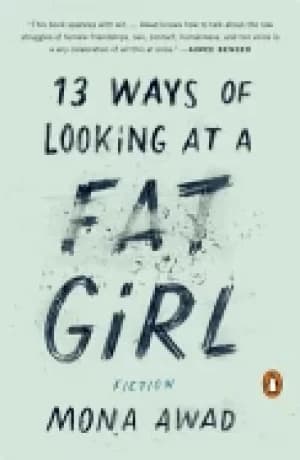 13 ways of looking at a fat girl fiction