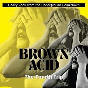 Various Artists - Brown Acid: The Fourth Trip Vinyl