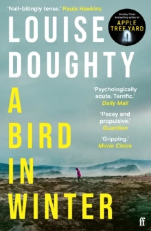 A Bird in Winter. Paperback. By Louise Doughty Books