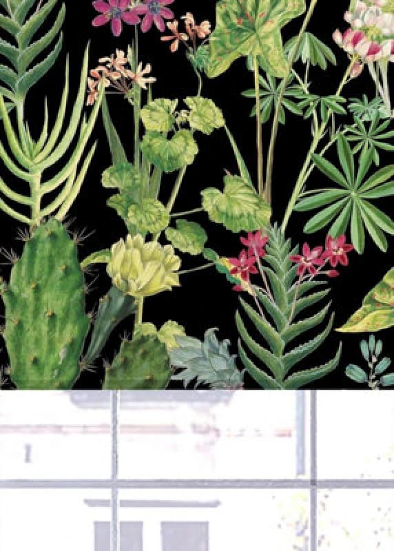 Lister Cartwright Tropical Plants Design Blackout Roller Blinds (Black, 180 Cm Width X 160 Cm Drop) Child Safety Included