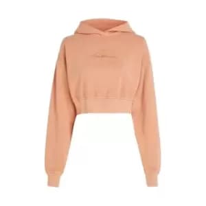 Calvin Klein Jeans Mineral Dye Monologo Hoodie - Brown