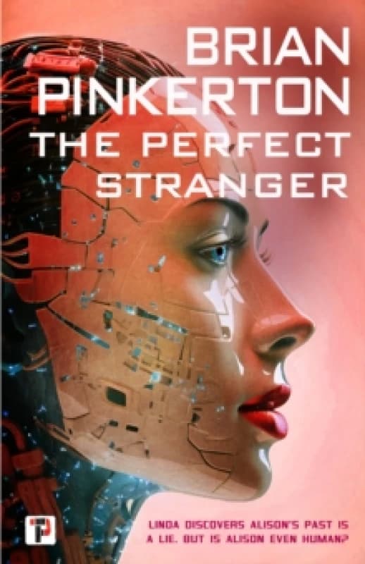 The Perfect Stranger Hardback