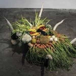 Jesse Osborne-Lanthier - Left My Brain @ Can Paixano (La Xampanyeria) OST Vinyl