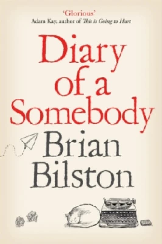 Diary of a Somebody Paperback / softback