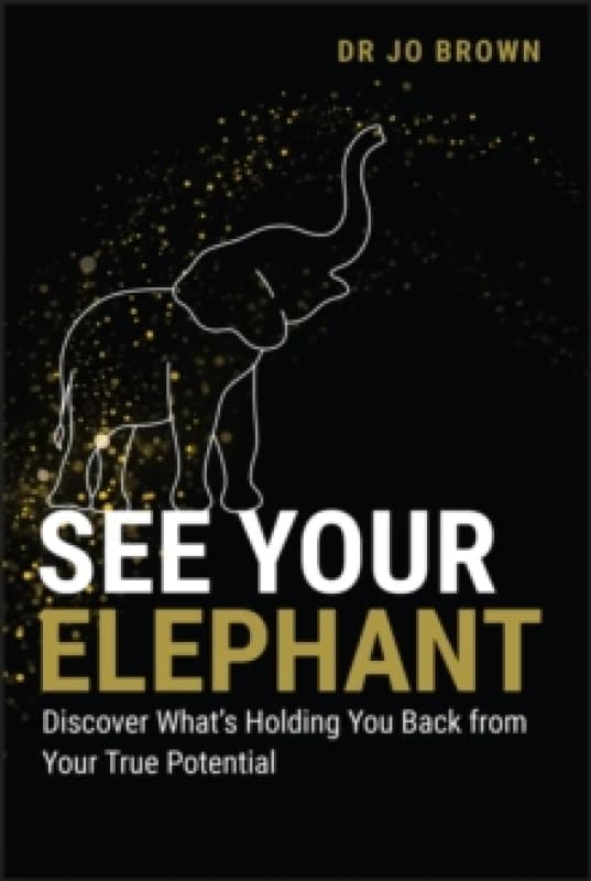 See Your Elephant : Discover What's Holding You Back from Your True Potential Paperback / softback