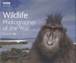 Wildlife Photographer of the Year. Portfolio 18 by Rosamund Kidman Cox Hardback