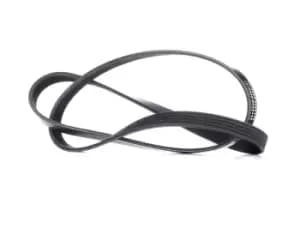 RIDEX V-ribbed belt VW,AUDI,MERCEDES-BENZ 305P0039 058903137B,058903137C,058903137E 06B903137,06B903137E,166453,0159974792,A0159974792,MD331884