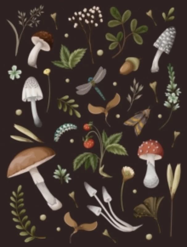 Mushroom Lined Journal. Paperback. By Editors of Chartwell Books Books