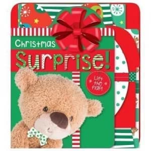 Christmas Surprises Book