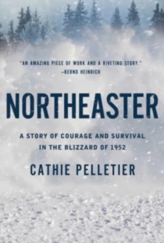Northeaster : A Story of Courage and Survival in the Blizzard of 1952 Paperback / softback