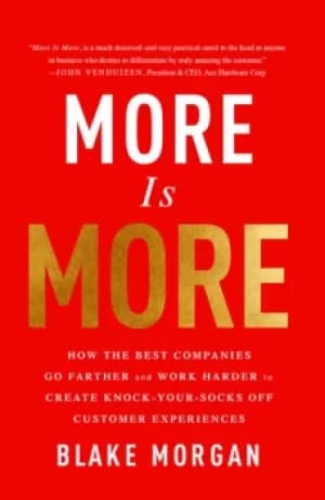 More Is MoreHow the Best Companies Go Farther and Work Harder to Create Knock-Your-Socks-Off Customer Experiences